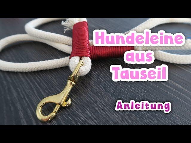 Stylische DIY-Hundeleine: So kreierst du eine trendige Tauleine selbst Stylische DIY-Hundeleine: So kreierst du eine trendige Tauleine selbst