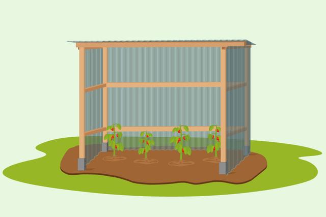 Bauanleitung für ein Tomatenhaus: So gelingt der Eigenbau Bauanleitung für ein Tomatenhaus: So gelingt der Eigenbau