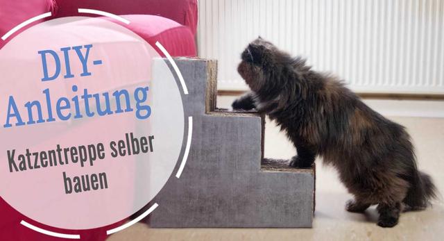 Anleitung für den Bau einer Katzenleiter: Tipps und Tricks zur Selbstbau Anleitung für den Bau einer Katzenleiter: Tipps und Tricks zur Selbstbau
