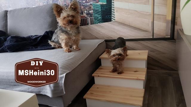 5. Praktische Tipps für den Selbstbau einer Hundetreppe 5. Praktische Tipps für den Selbstbau einer Hundetreppe