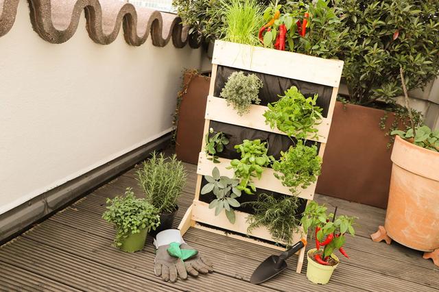 Platzsparendes Gärtnern: Bauanleitung für ein Vertikalbeet