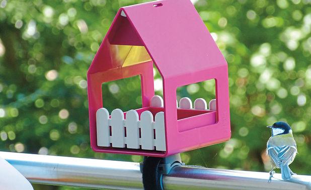 Genießen Sie den Anblick der heimischen Vögel: Bauanleitung für ein individuelles Futterhaus Genießen Sie den Anblick der heimischen Vögel: Bauanleitung für ein individuelles Futterhaus