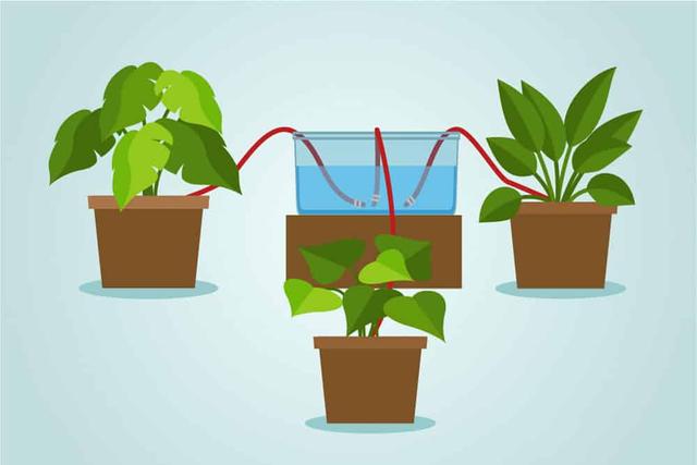 Nachhaltige Bewässerungslösungen: Ideen für selbst gebaute Systeme Nachhaltige Bewässerungslösungen: Ideen für selbst gebaute Systeme