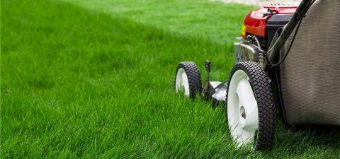Gesetzliche Vorgaben für das Rasenmähen: Bis wann ist es erlaubt? Gesetzliche Vorgaben für das Rasenmähen: Bis wann ist es erlaubt?