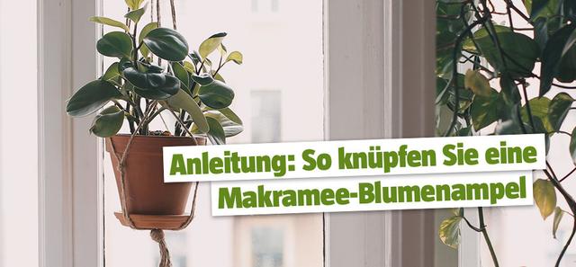 Natürlich und einfach: Blumenampeln aus Weidenzweigen basteln Natürlich und einfach: Blumenampeln aus Weidenzweigen basteln