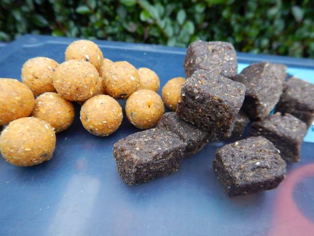 Erfolgreich angeln mit selbstgemachten Boilies: So geht