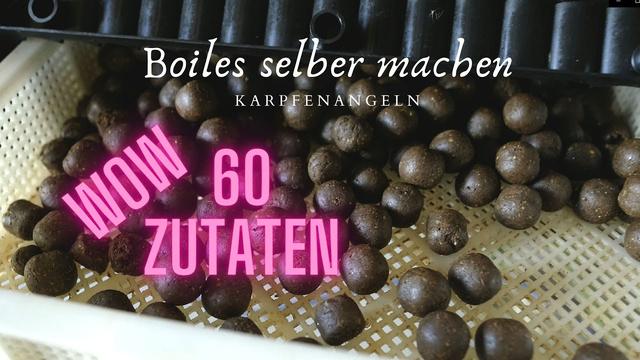 Köderherstellung leicht gemacht: Boilies einfach selbst rollen