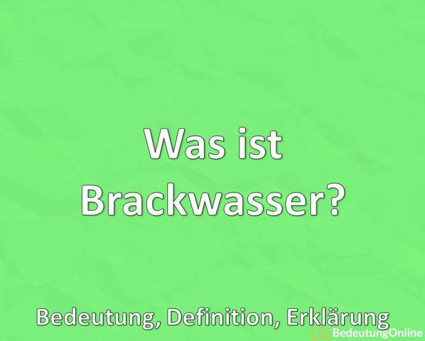 Brackwasser: Eine Einführung in die Definition und Entstehung Brackwasser: Eine Einführung in die Definition und Entstehung