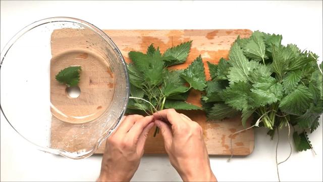 Gesund und lecker: So einfach kannst du Brennnesseltee selbst herstellen