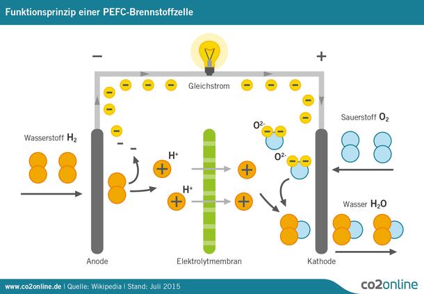 Eigenbau einer Brennstoffzelle: Schritt-für-Schritt-Anweisungen und Montageverfahren Eigenbau einer Brennstoffzelle: Schritt-für-Schritt-Anweisungen und Montageverfahren