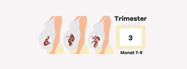 Das dritte Trimester beginnt: Was jetzt auf Sie zukommt Das dritte Trimester beginnt: Was jetzt auf Sie zukommt