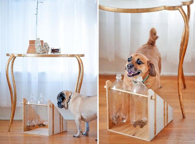 Beschäftigungsideen für Hunde: DIY Denkspiele zum Selberbasteln Beschäftigungsideen für Hunde: DIY Denkspiele zum Selberbasteln