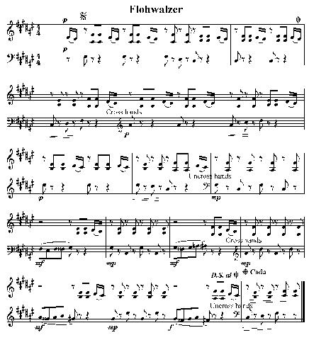 "Vom Klavierlehrer zur musikalischen Legende: Der Flohwalzer" "Vom Klavierlehrer zur musikalischen Legende: Der Flohwalzer"