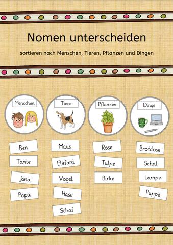 Grundlagen der Nomen in der Grundschule Grundlagen der Nomen in der Grundschule