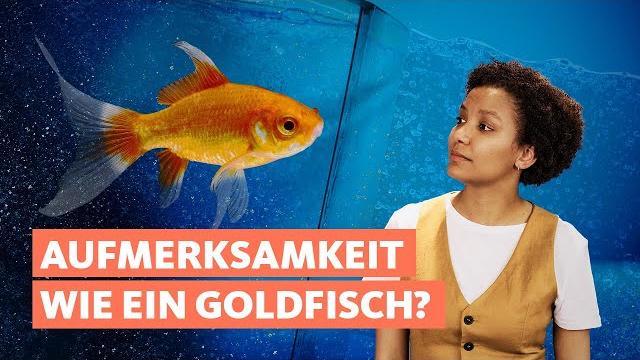 Erfahrungsberichte mit Deseo: Wann tritt die Wirkung ein? Erfahrungsberichte mit Deseo: Wann tritt die Wirkung ein?