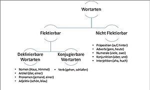 Veränderbare Wortarten: Konjugation und Deklination in der deutschen Sprache Veränderbare Wortarten: Konjugation und Deklination in der deutschen Sprache