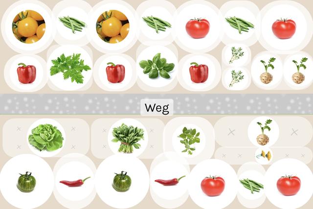 Die richtige Mischkultur für Tomaten: Welche Pflanzen passen dazu?