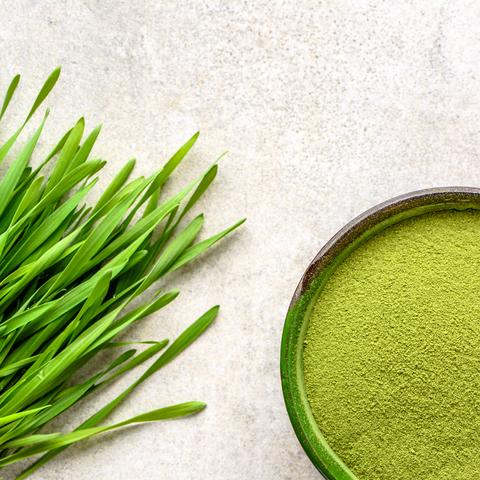 Gesunde Verdauung dank Gerstengras: Das grüne Wundermittel im Überblick