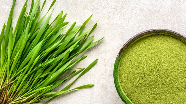 Gerstengras für Haut und Haare: Wie das Trendgewächs zu strahlendem Aussehen verhelfen kann