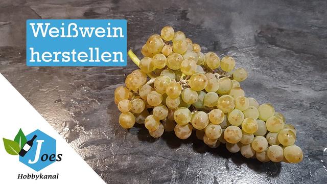 Wein selber machen mit verschiedenen Obstsorten: Von Weintrauben bis Rhabarber Wein selber machen mit verschiedenen Obstsorten: Von Weintrauben bis Rhabarber