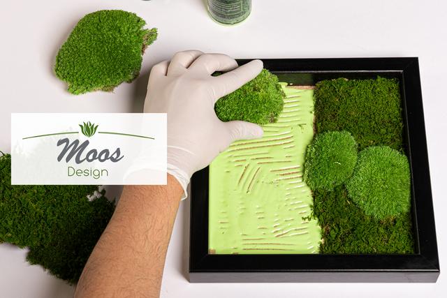 Moosbilder selber basteln: Tipps und Tricks für ein außergewöhnliches Ergebnis Moosbilder selber basteln: Tipps und Tricks für ein außergewöhnliches Ergebnis