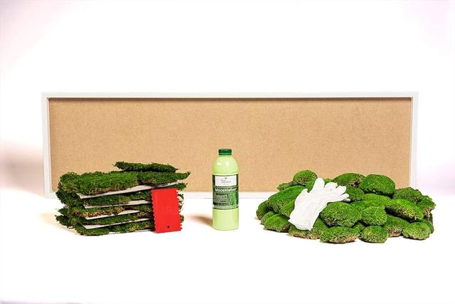 Kreatives DIY-Projekt: Komplett-Set für selbstgemachte Moos-Wandbilder Kreatives DIY-Projekt: Komplett-Set für selbstgemachte Moos-Wandbilder