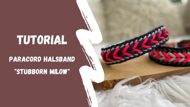 Kreative Ideen und Inspiration: Selbstgemachtes Paracord-Hundehalsband Kreative Ideen und Inspiration: Selbstgemachtes Paracord-Hundehalsband
