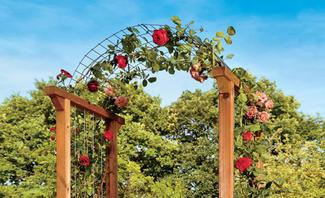 DIY Rankhilfe für Rosen selbst bauen einfache Anleitungen für stabile