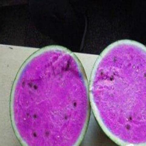 Pferdefutter mal anders: Darf mein Pferd Wassermelone essen? Pferdefutter mal anders: Darf mein Pferd Wassermelone essen?