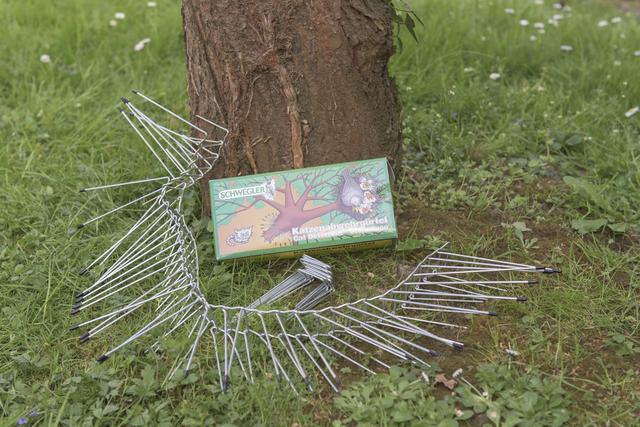 Katzenabwehrgürtel DIY: Wie du deine Bäume vor Katzen schützt Katzenabwehrgürtel DIY: Wie du deine Bäume vor Katzen schützt