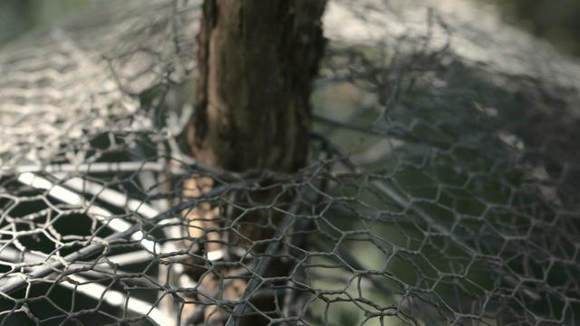 Effektiver Schutz vor Katzen: Bau deinen eigenen Abwehrgürtel Effektiver Schutz vor Katzen: Bau deinen eigenen Abwehrgürtel