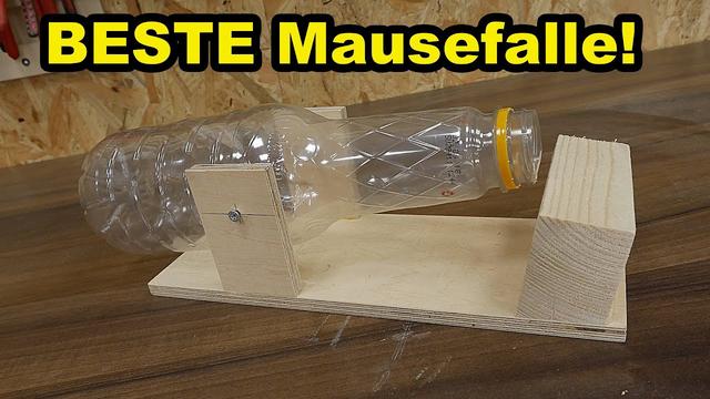 Eine Mausefalle selbst bauen: Anleitung für eine einfache und effektive Methode Eine Mausefalle selbst bauen: Anleitung für eine einfache und effektive Methode