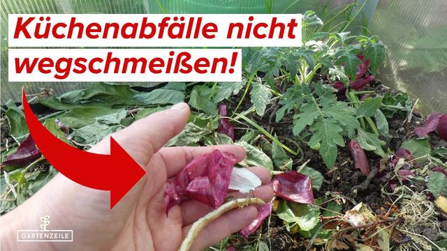 Geld sparen im Garten: Calciumdünger aus Eierschalen selber herstellen