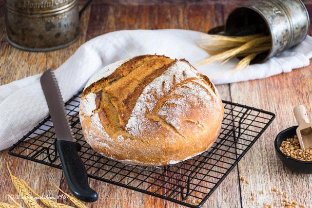 Backe dein eigenes Mischbrot: Kreative Rezeptideen zum Ausprobieren Backe dein eigenes Mischbrot: Kreative Rezeptideen zum Ausprobieren