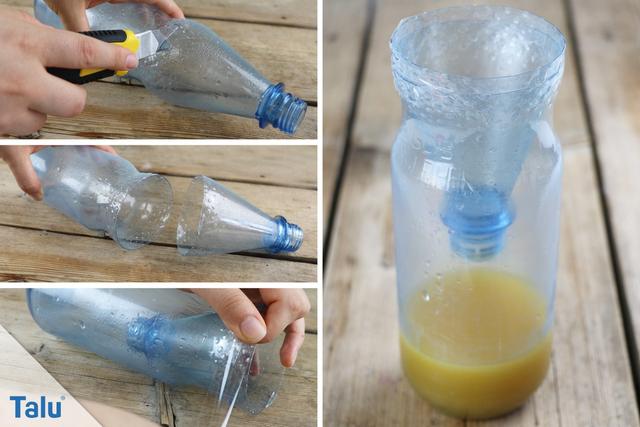 Wespenfalle DIY: So können Sie einfach und tierfreundlich lästige Wespen loswerden Wespenfalle DIY: So können Sie einfach und tierfreundlich lästige Wespen loswerden