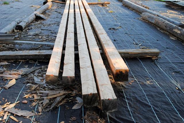 Stabile Konstruktionen: So bauen Sie Ihren eigenen Rosenbogen Stabile Konstruktionen: So bauen Sie Ihren eigenen Rosenbogen