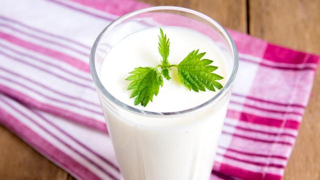 Erfrischender Genuss: Ayran selber machen für heiße Tage Erfrischender Genuss: Ayran selber machen für heiße Tage