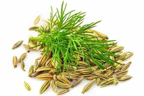 Einfach und schnell: Fencheltee selber machen - Genuss ohne Zusatzstoffe