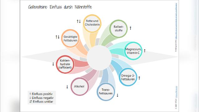 Hormone, Schwangerschaft und Gewichtsreduktion: Einflussfaktoren auf das Risiko von Gallensteinen