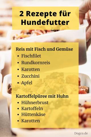 Gesundes Futter für den Hund: Einfache und köstliche Rezepte zum Selbermachen Gesundes Futter für den Hund: Einfache und köstliche Rezepte zum Selbermachen