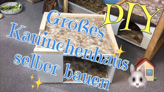 Kreatives DIY: Bau dein eigenes Hasenhaus für glückliche Kaninchen Kreatives DIY: Bau dein eigenes Hasenhaus für glückliche Kaninchen