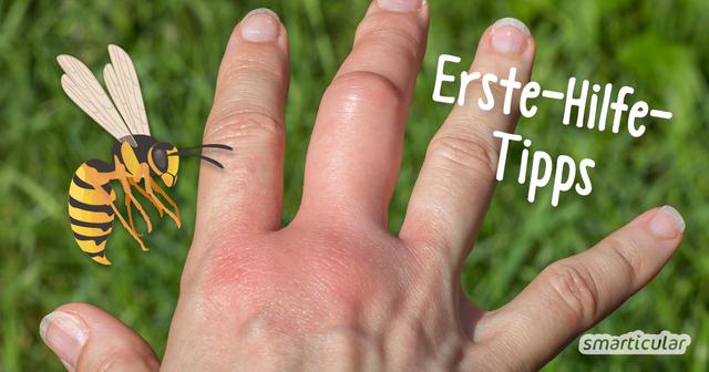 Effektive Maßnahmen gegen Wespenstiche: Hausmittel zur schnellen Linderung von Beschwerden Effektive Maßnahmen gegen Wespenstiche: Hausmittel zur schnellen Linderung von Beschwerden