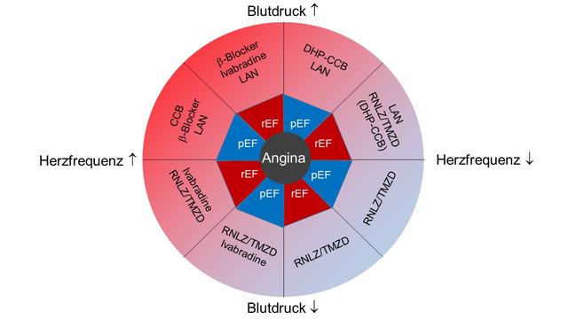 Herzstechen: Wichtige Maßnahmen und Behandlungsmöglichkeiten Herzstechen: Wichtige Maßnahmen und Behandlungsmöglichkeiten