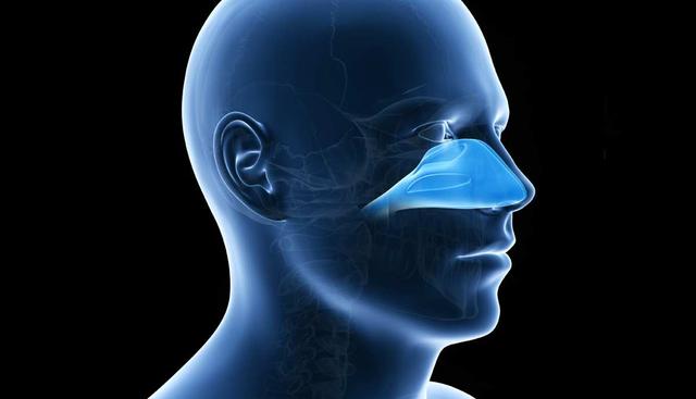 Wann zum Arzt bei verstopfter Nase? Symptome und Behandlungsmöglichkeiten Wann zum Arzt bei verstopfter Nase? Symptome und Behandlungsmöglichkeiten