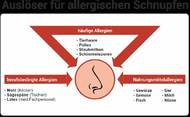 Ursachen für eine verstopfte Nase: Erkältung, Allergie oder anatomische Veränderungen? Ursachen für eine verstopfte Nase: Erkältung, Allergie oder anatomische Veränderungen?
