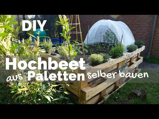 Nachhaltig und preiswert: Eigenes Hochbeet aus Paletten gestalten Nachhaltig und preiswert: Eigenes Hochbeet aus Paletten gestalten