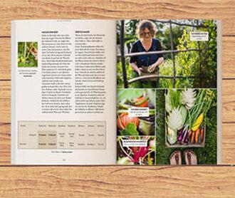 Musterbeete mit Pflanzideen für jede Jahreszeit im Hochbeet Musterbeete mit Pflanzideen für jede Jahreszeit im Hochbeet