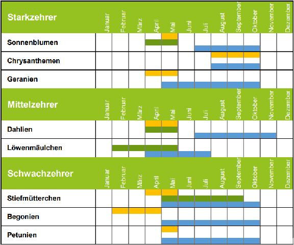 HochbeetGärtnern Erfahre, was du wann im Hochbeet machen kannst