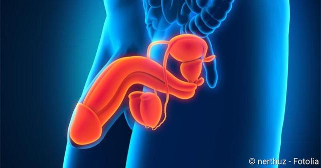 Hodentorsion: Wann Selbstbehandlung nicht ausreicht Hodentorsion: Wann Selbstbehandlung nicht ausreicht