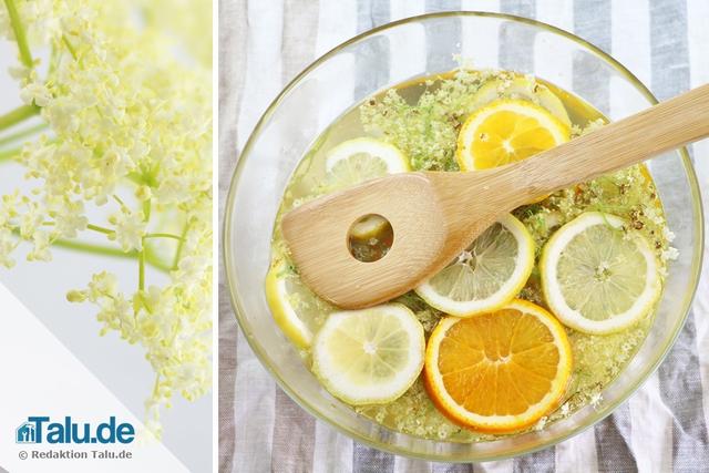 Holunderblütensirup herstellen: Tipps für eine lange Haltbarkeit Holunderblütensirup herstellen: Tipps für eine lange Haltbarkeit